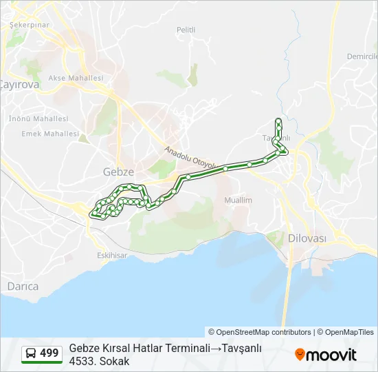 499 Bus Line Map