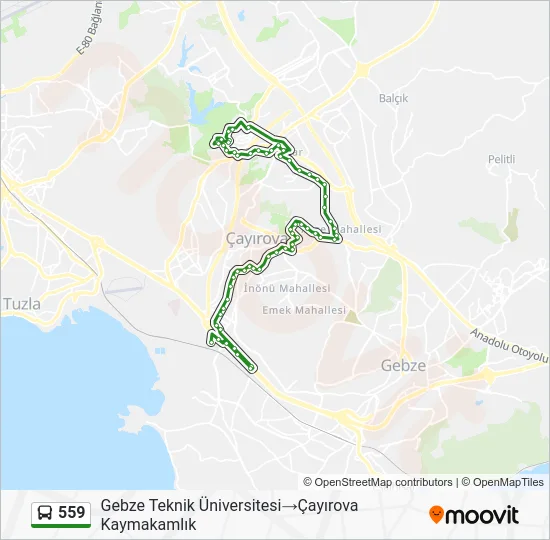 559 Bus Line Map