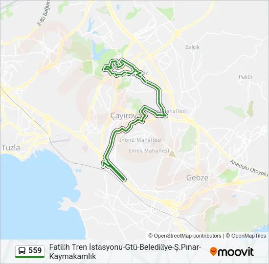559 Bus Line Map