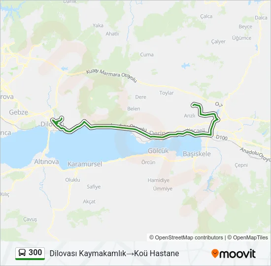 300 Bus Line Map