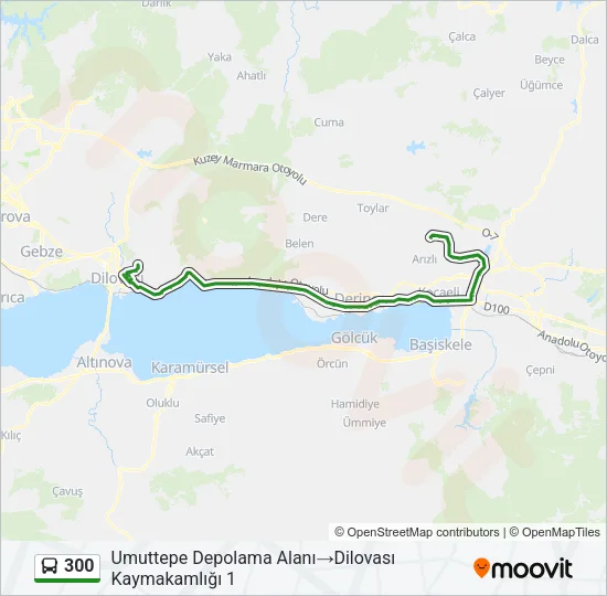 300 Bus Line Map