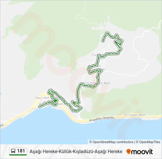 181 Bus Line Map
