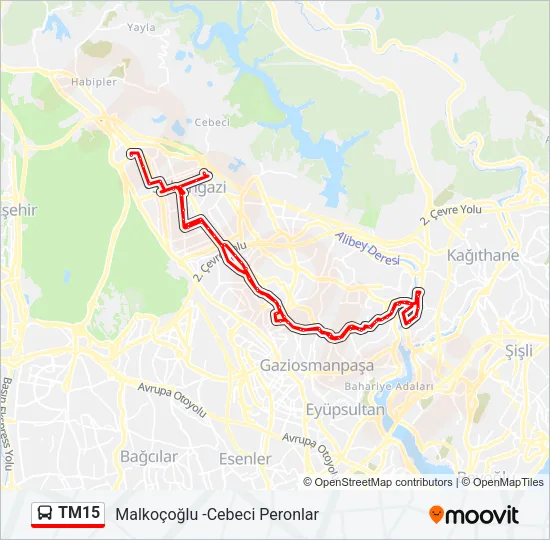 TM15 Bus Line Map