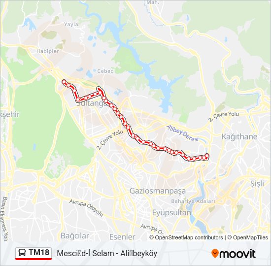TM18 Bus Line Map
