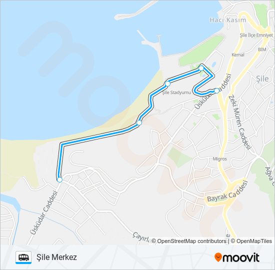 ŞİLE MERKEZ RİNG minibüs / dolmuş Hattı Haritası