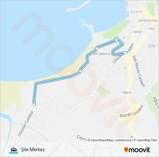 ŞİLE MERKEZ RİNG Dolmus & Minibus Line Map
