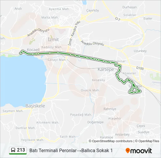 213 Bus Line Map