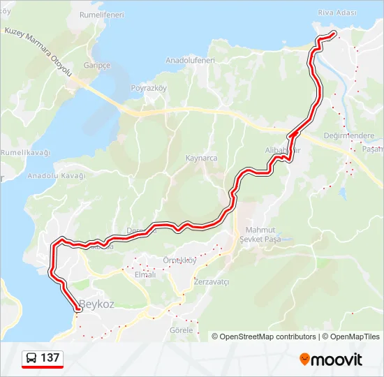 137 Bus Line Map