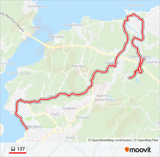 137 Bus Line Map