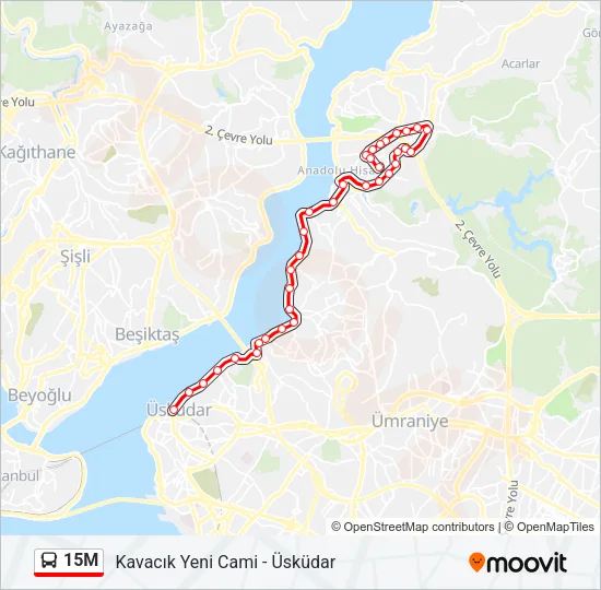 15M Bus Line Map