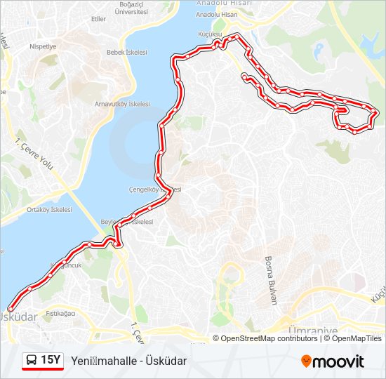 15Y Bus Line Map