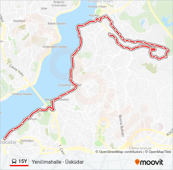 15Y Bus Line Map