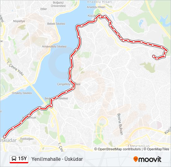 15Y Bus Line Map
