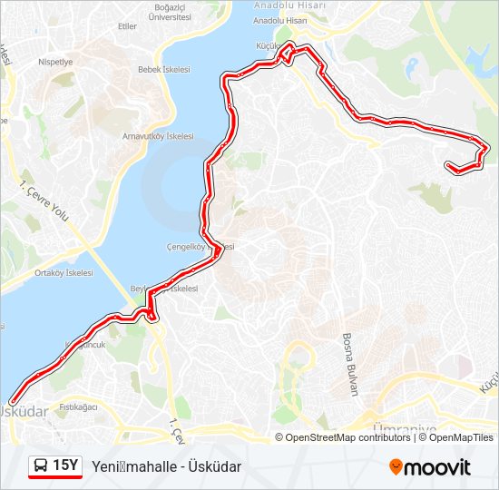 15Y Bus Line Map
