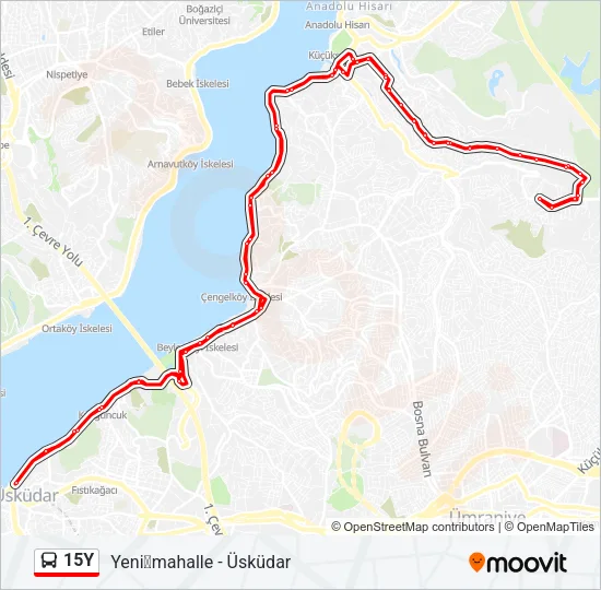15Y Bus Line Map
