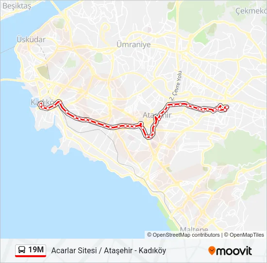 19M Bus Line Map
