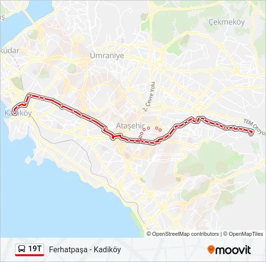 19T Bus Line Map