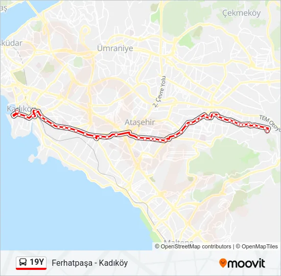 19Y Bus Line Map