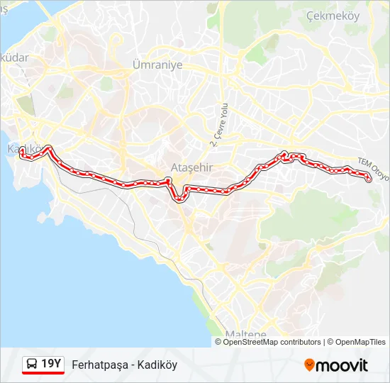 19Y Bus Line Map