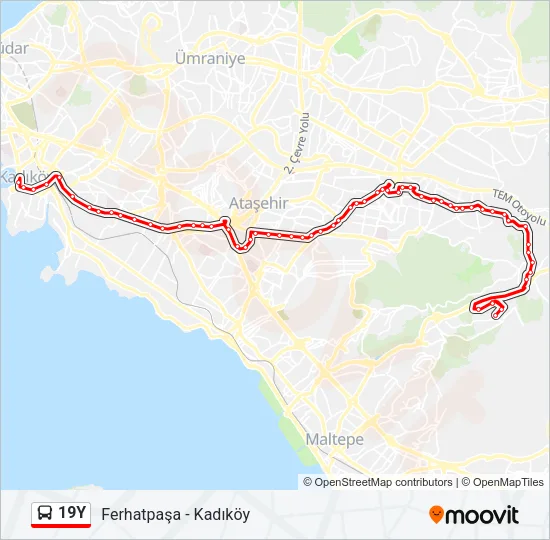 19Y Bus Line Map