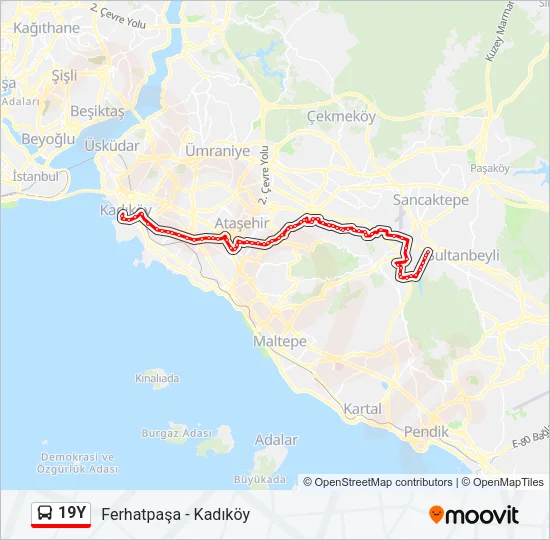 19Y Bus Line Map