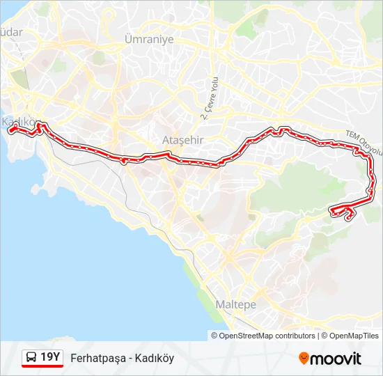 19Y Bus Line Map