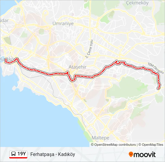 19Y Bus Line Map