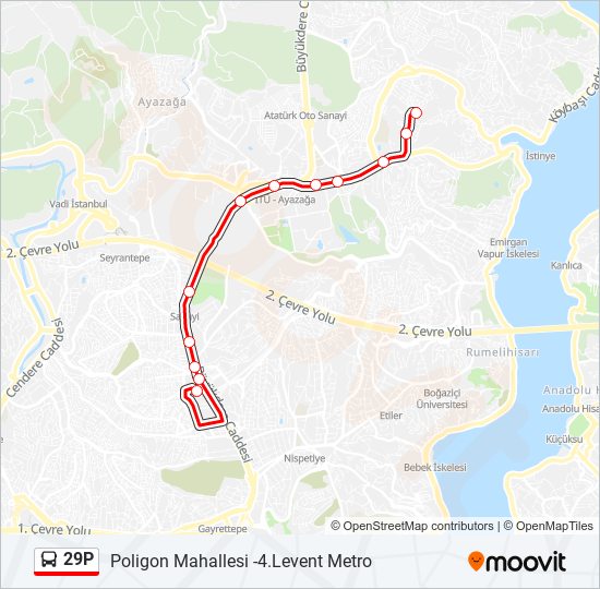 29P bus Line Map