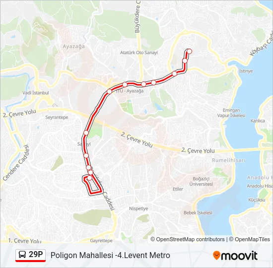 29P Bus Line Map