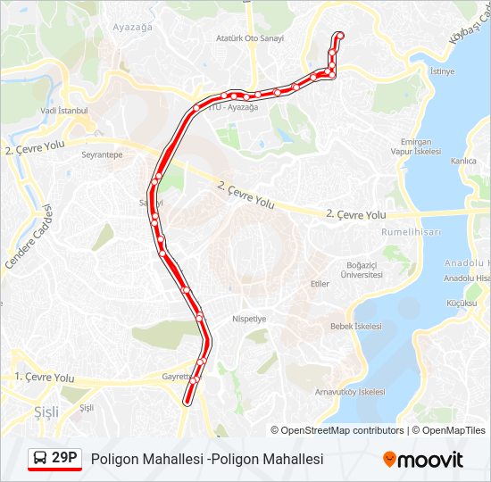 29P bus Line Map