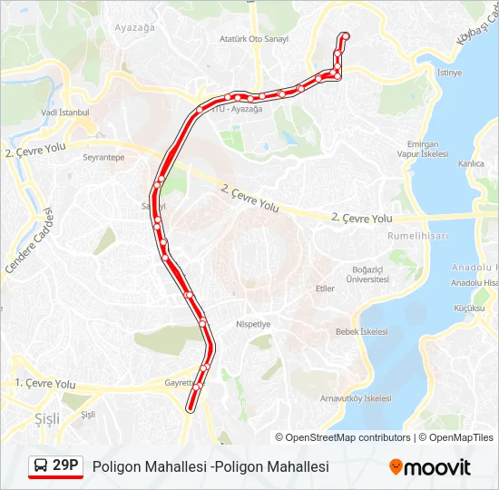 29P Bus Line Map