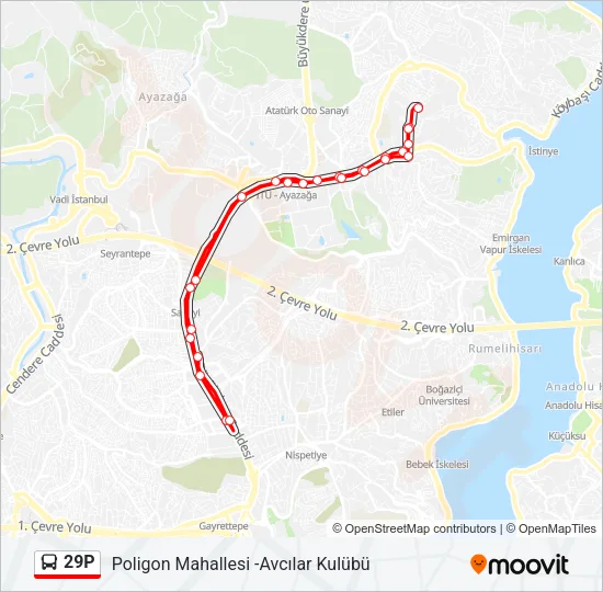 29P Bus Line Map