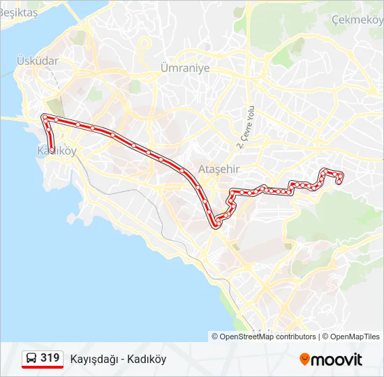319 Bus Line Map