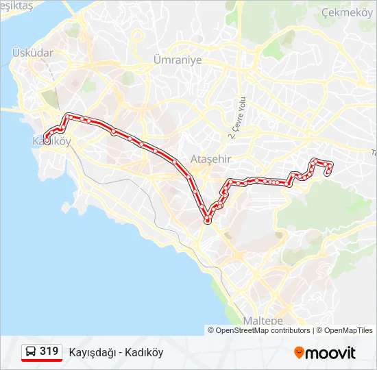 319 Bus Line Map