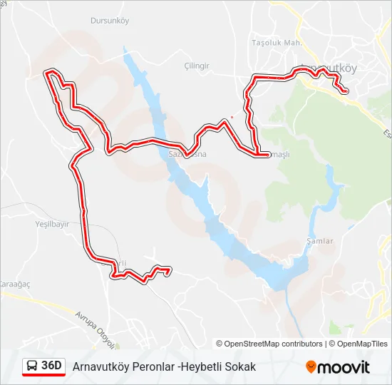 36D Bus Line Map