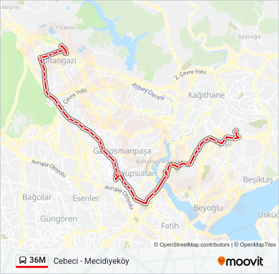 36M Bus Line Map