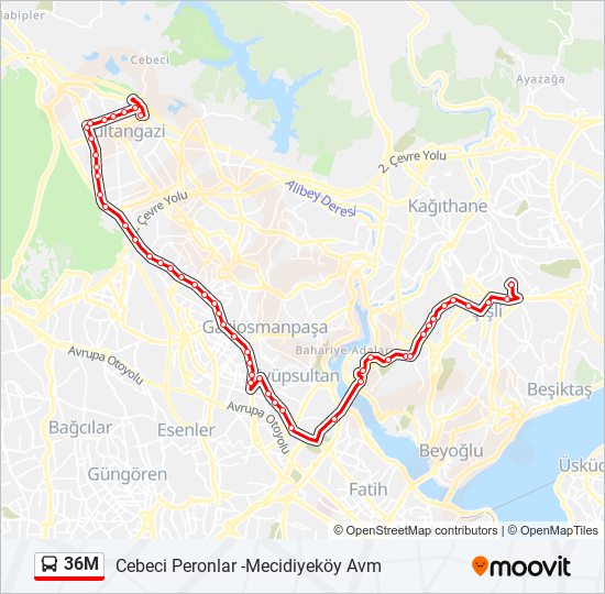 36M bus Line Map