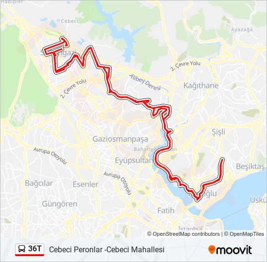 36T bus Line Map