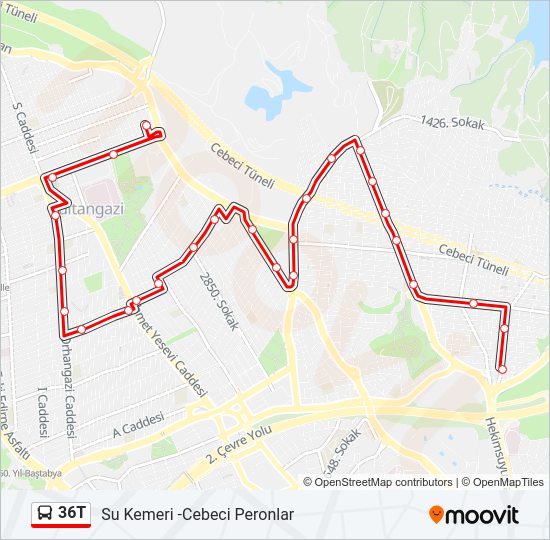 36T bus Line Map