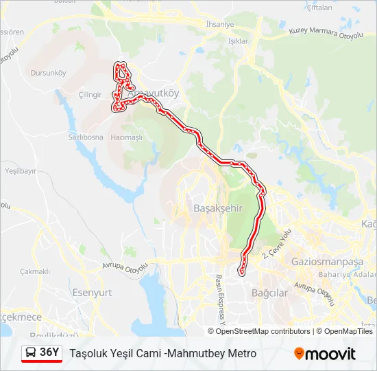 36Y Bus Line Map