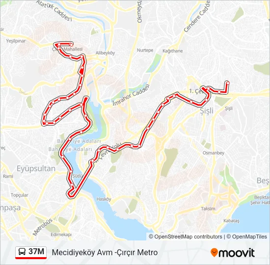 37M Bus Line Map