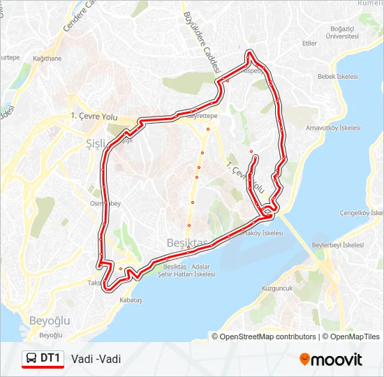 DT1 Bus Line Map