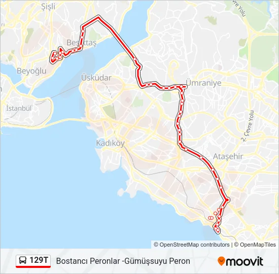 129T Bus Line Map
