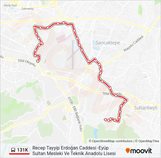 131K Bus Line Map