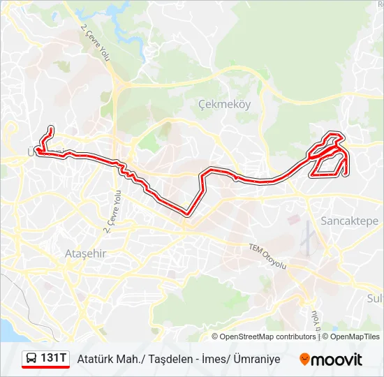131T Bus Line Map