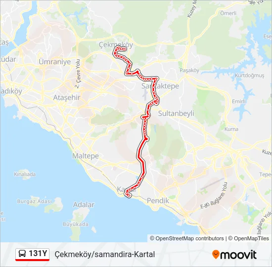 131Y Bus Line Map