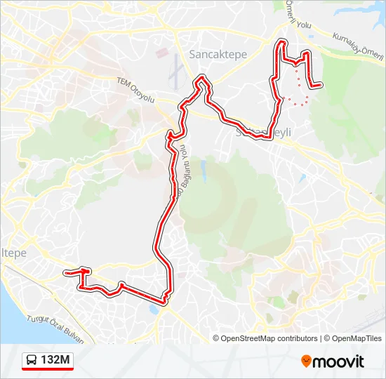 132M Bus Line Map