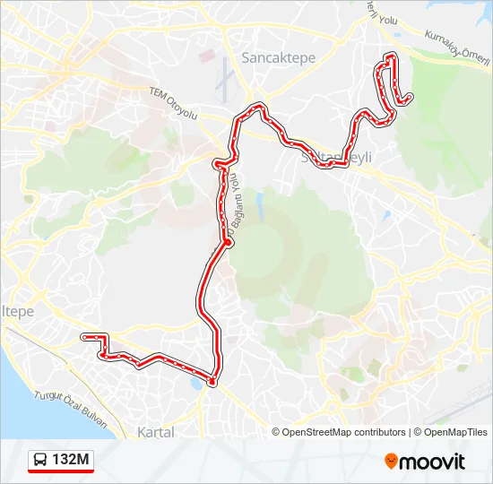132M Bus Line Map