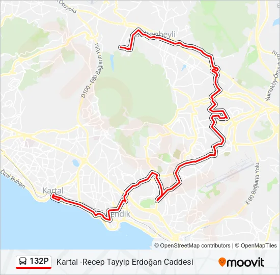 132P Bus Line Map