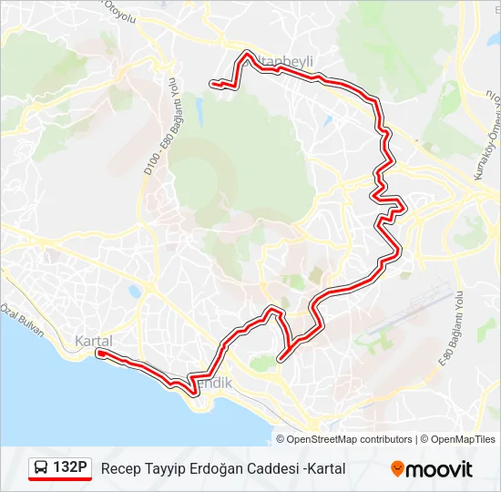 132P Bus Line Map
